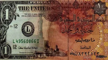 تراجع سعر الدولار.. العملة الأمريكية تقترب من حاجز 46 جنيهًا في البنوك المصرية